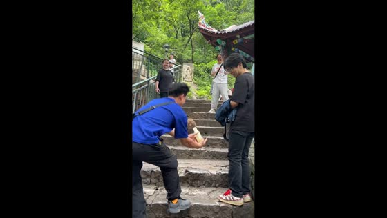 Monkey chases bottle between visitors on stairs in Sichuan, China