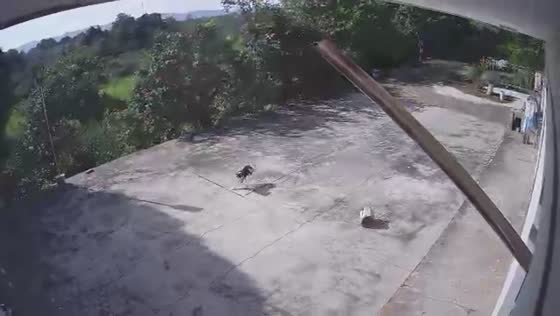 Factory explosion caught on security video in Hunan, China