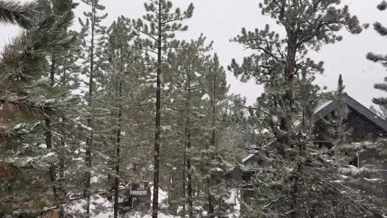 Snowfall covering the landscape in the Spring Mountains, Nevada, USA