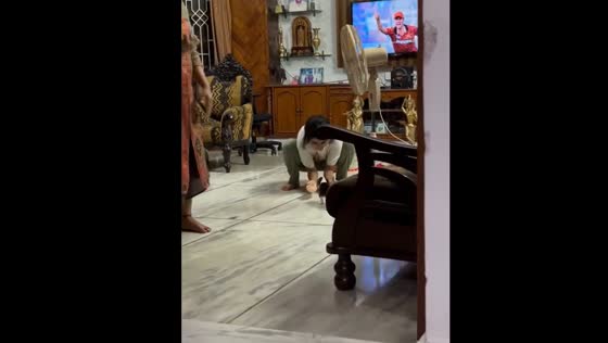 Puppy jumps down stairs as family cheers in Bengaluru