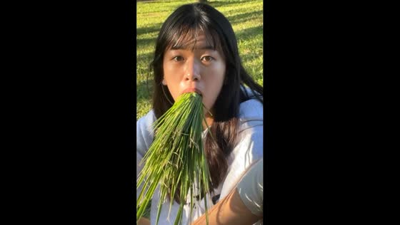 Grassy antics: finding joy despite volleyball defeat