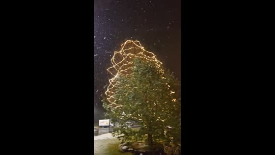 Gentle snowfall enhances holiday-lit campus in Pennsylvania, USA