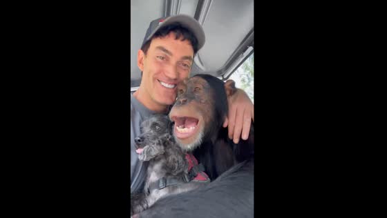 Cuddle buddies: man, dog, and chimpanzee find harmony in Miami
