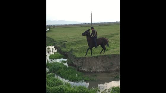 Horse nearly goes over stream bank in Makhachkala