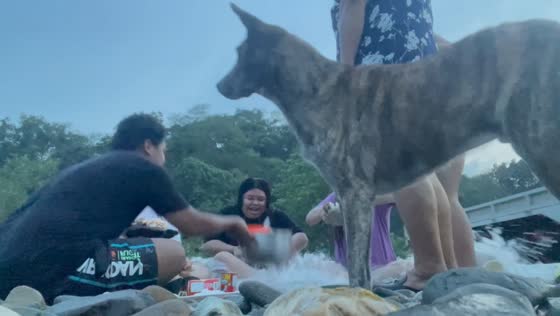 Unexpected splash disrupts picnic in Tanay, Rizal