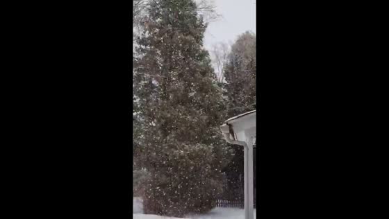 Ice storm turns to snow in Worcester, Massachusetts, USA