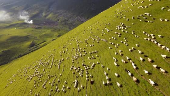 Stunning FPV drone flight over Gudauri highlands in Georgia