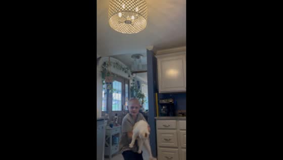 Playful unexpected slipping with cat in Alexandria, Kentucky, USA
