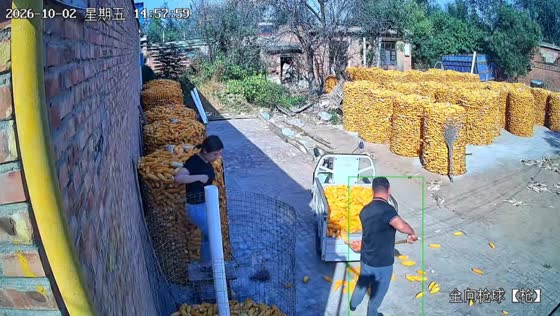 Woman falls from a stool while checking a cylindrical corn storage in Hebei, China