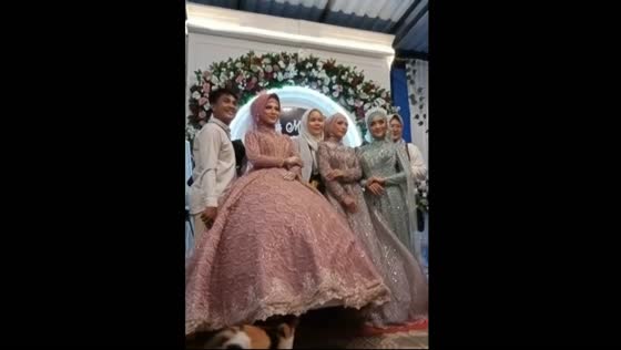 The cat went inside the bride's gown!