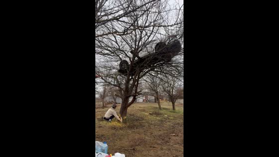 Car mysteriously found hanging on tree in Rostov-on-Don, Russia