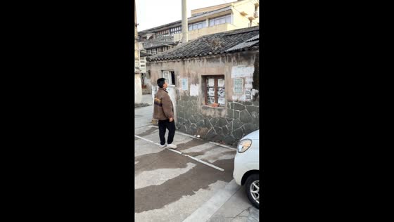 Cat lands safely on its feet after being tossed onto roof in Zhejiang, China