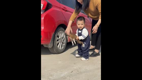 Toddler falls while carrying puppy in Shandong, China