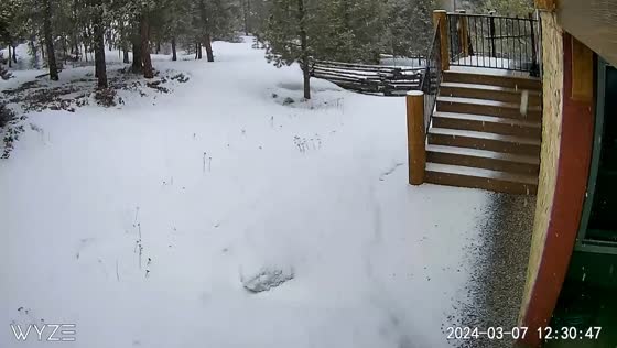 Conifer, USA hit with snow, lightning & thunder!