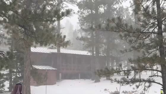 Heavy snowfall, fog, and strong winds create near-blizzard conditions in Las Vegas, Nevada, USA