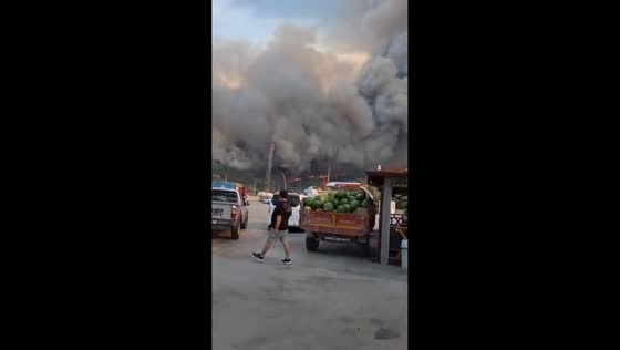 Massive wildfire engulfs forests and forces evacuation in Osmaneli, Bilecik, Turkey