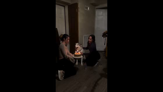 Joyful cultural celebration: Milwaukee family serenades beloved dog Luka on his birthday