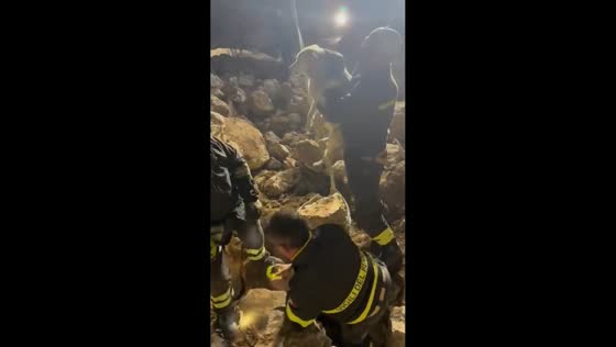Firefighters rescue stray dog trapped in harbor rocks in Calabria, Italy