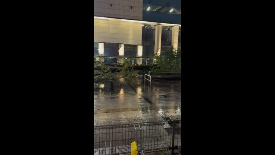 Fallen tree blocks road near Kamitori and Pia Arc in Kumamoto, Japan