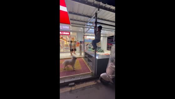 Dog tries to approach boy clinging to a stall pole in Guangxi, China