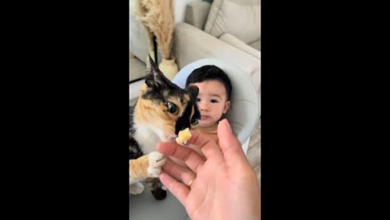 Cat steals banana from baby in Buenos Aires video