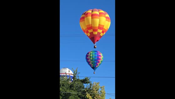 Colorful hot-air balloons fill the sky during Albuquerque Balloon Fiesta in New Mexico, USA