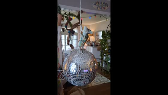 Chameleon climbs spinning disco ball in Thomasville, USA