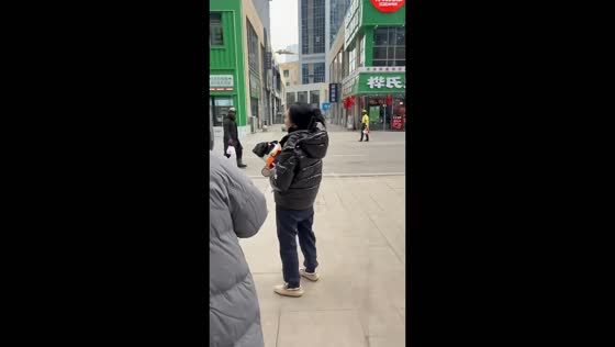 French bulldog barks loudly at another dog during a walk in Liaoning, China