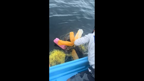 Rescuers free entangled turtles from trash in Nayarit, Mexico