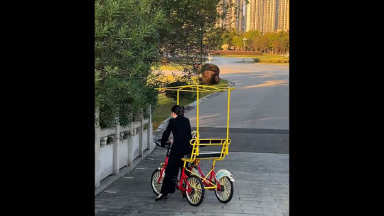 Woman rides tandem bike alone and crashes