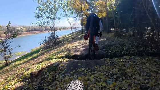 Bicycle mishap along lakeside path in Beijing, China