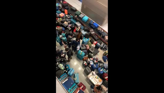 Long lines and piled luggage amid IndiGo disruption in Delhi, India