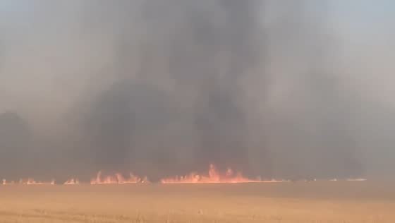 Fast-moving grass fire spreads across field in Romford, East London, UK