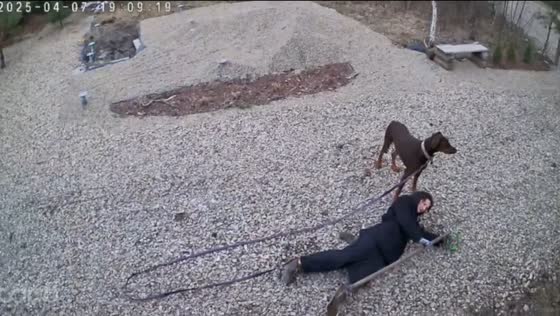 Woman trips over dog's leash and falls in Lviv, Ukraine