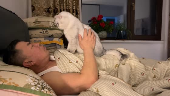 Cat gently pats sleeping owner in Liaoning, China