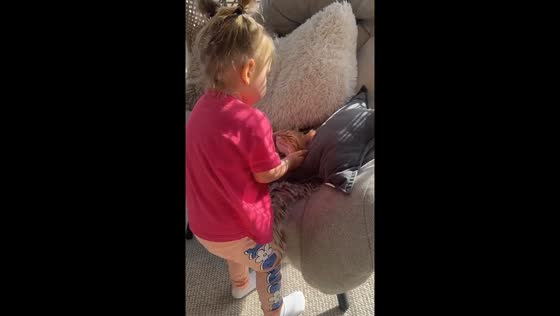 Child's tender gesture: pillow comfort for pampered cat