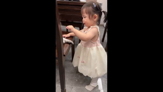 Cat swats girl's head during playful moment in Shaanxi, China