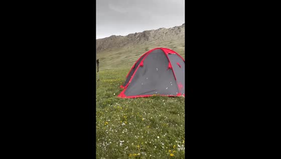 Summer hailstorm blankets wildflower meadow in Almaty, Kazakhstan