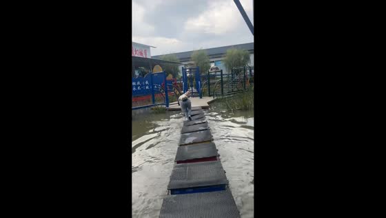 Woman falls into water at moving platform in Henan, China