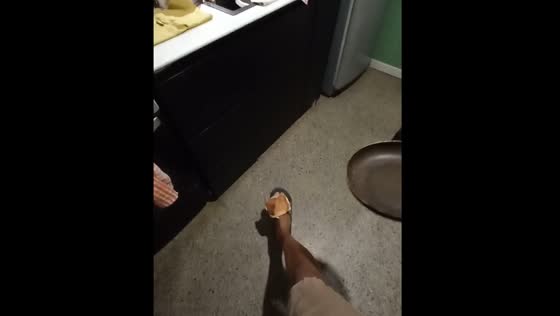 Cook flips dropped food back to pan with foot in Venezuela