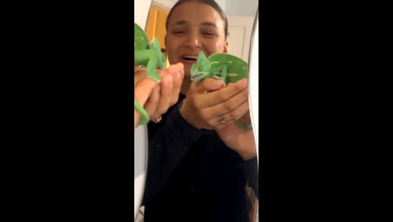 Chameleon attacks its own reflection in Belfort, France