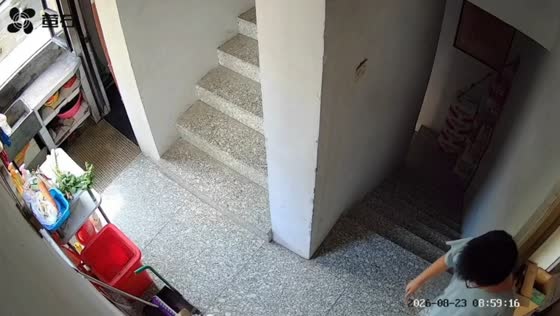Boy covers mouse with basin after finding it on staircase in Zhejiang, China