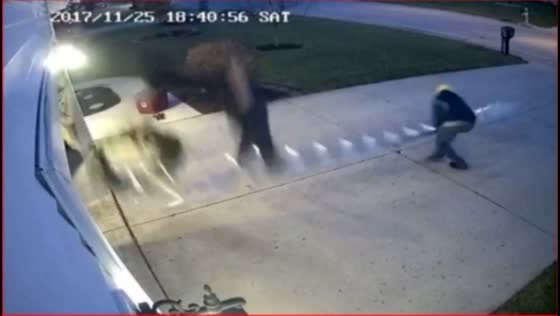 Christmas decoration mishap causes ladder fall in Lima, Ohio, USA