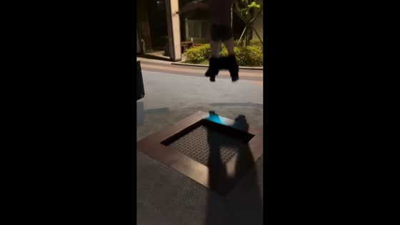 Pants fall off during trampoline jump in Gwangyang-si, South Korea