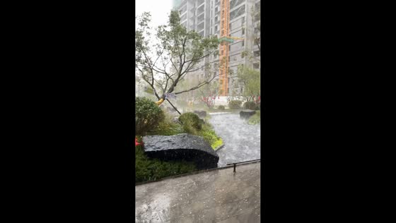 Large hailstones pound residential area during severe storm in Inner Mongolia, China