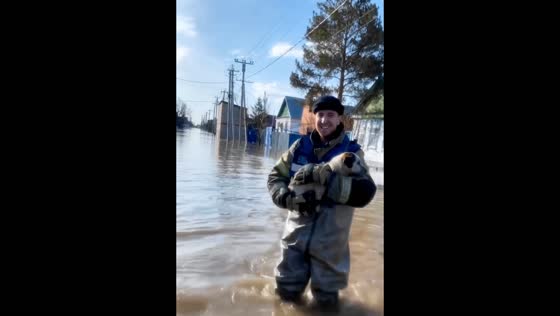 Rescuers brave floods to save stranded pets in Orsk, Russia