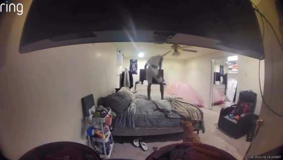 Man accidentally hits head on ceiling fan after standing on bed in Washington, USA