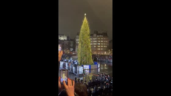 Christmas tree lighting in Trafalgar Square, London, UK