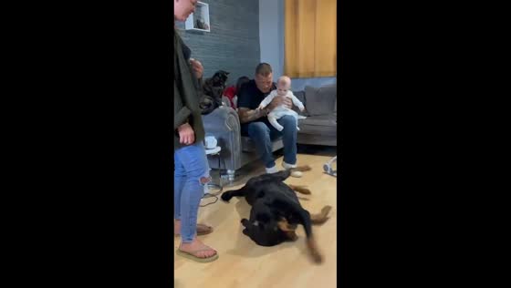 Dog entertains baby with playful antics in Kent, England, UK