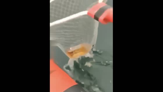 Unexpected catch: Russian fishermen reel in contraband Japanese whiskey instead of salmon